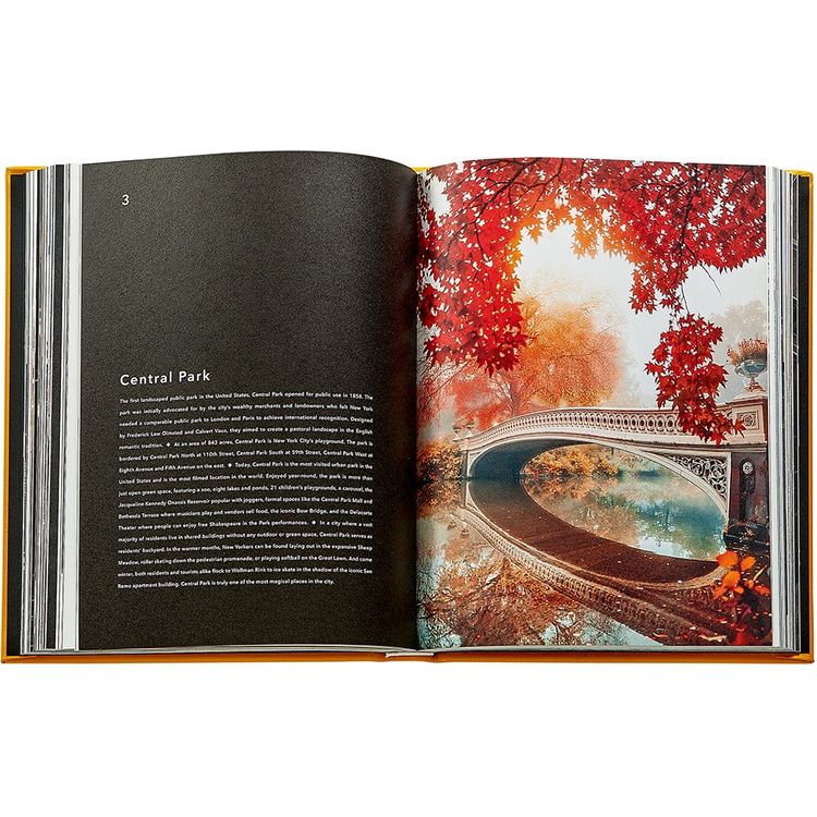 Trope New York Book Leather Edition - Image 3