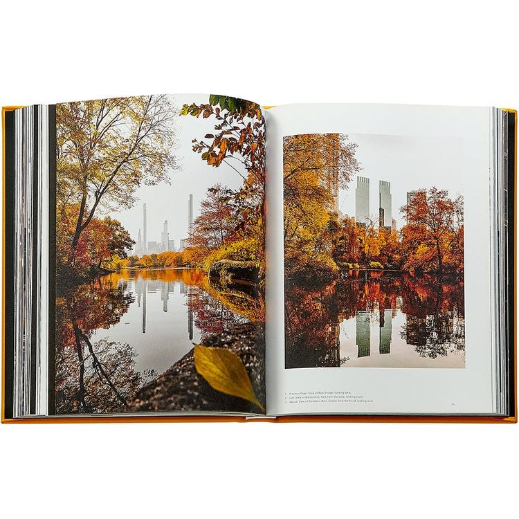 Trope New York Book Leather Edition - Image 5